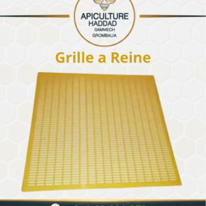 GRILLE A REINE CH
