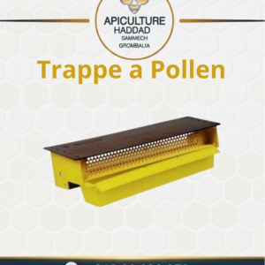 Trappe a Pollen