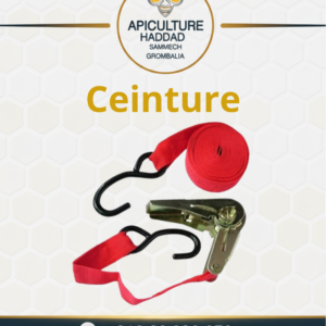 CEINTURE
