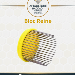 Bloc Reine