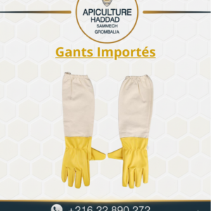 Gants Importés