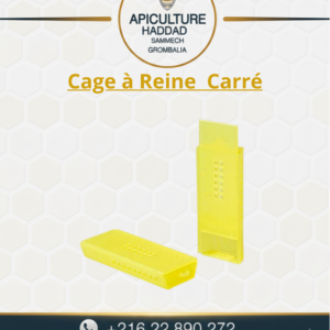 Cage à Reine Carre