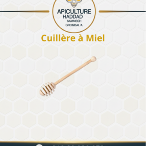 Cuillère à Miel