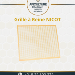 Grille à Reine NICOT