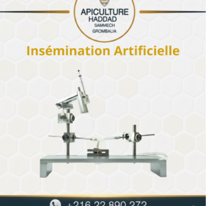 Insémination Artificielle