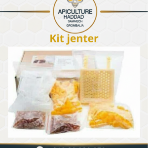 Kit Jenter
