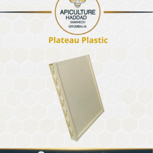 Plateau Plastique