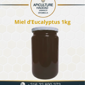 Miel Miel dEucalyptus 1kg.